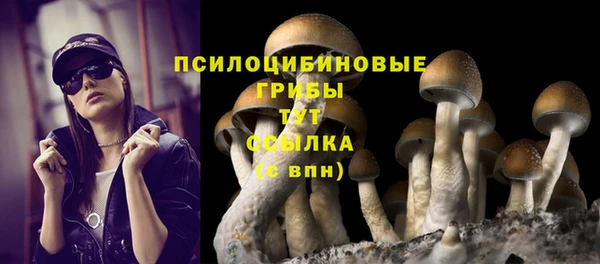 герыч Нея