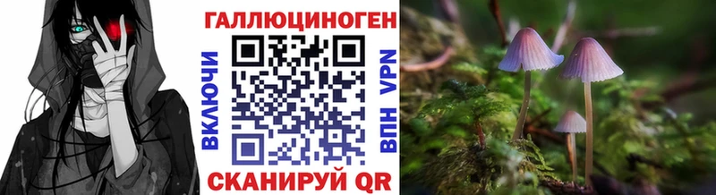 Псилоцибиновые грибы Psilocybine cubensis  Почеп 